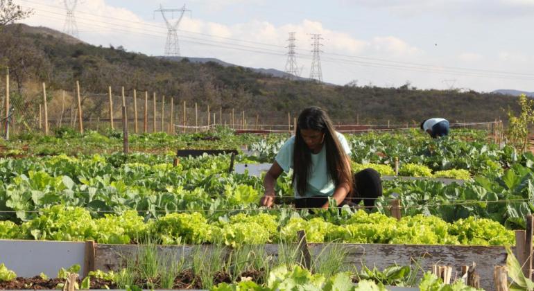 PBH promove ações na 15ª Feira de Agricultura Familiar de Minas Gerais