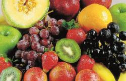 PBH convoca cadastro de reserva para o comércio de frutas na rua