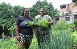 Mulheres são maioria na agricultura urbana em Belo Horizonte
