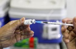Mais de 1.400 doses de vacina contra a dengue foram aplicadas nesse sábado (9)