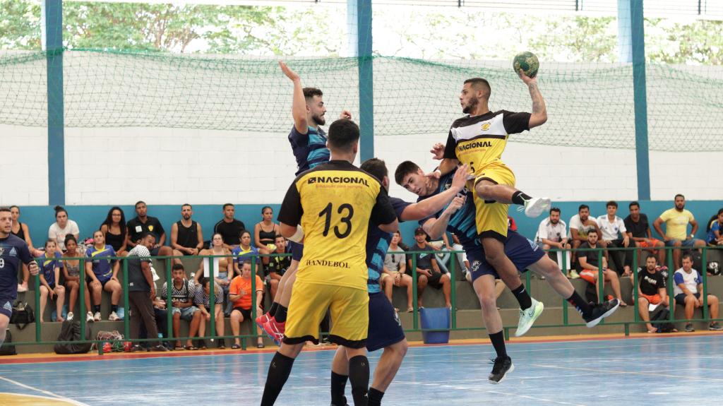 Federação Mineira de Handebol