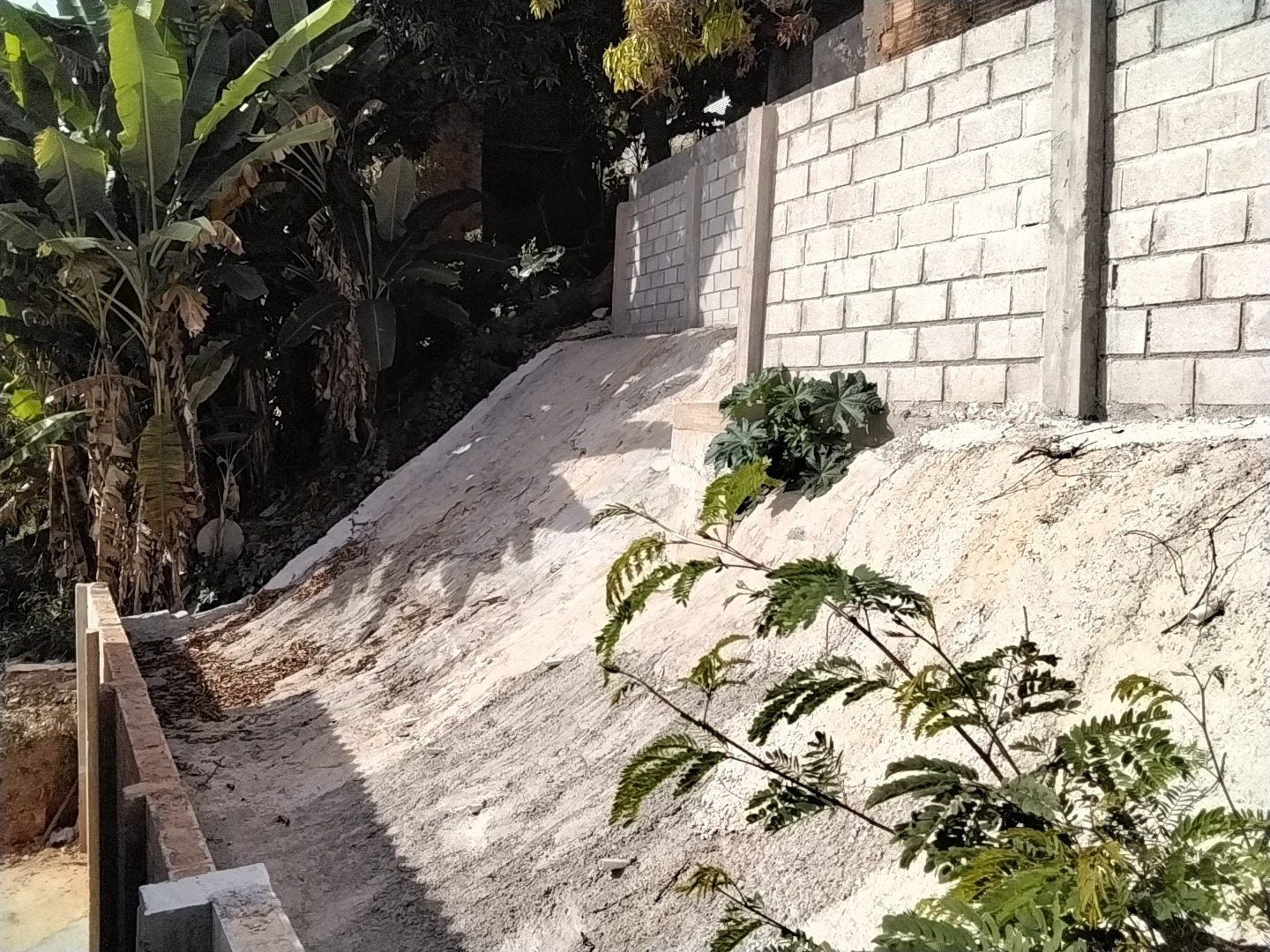 Prefeitura de BH entra na fase final das obras de contenção de risco geológico no Taquaril Estrutura de cimento cinza claro feita para contenção de encosta com risco de desabamento, com plantas de médio e grande porte ao fundo.