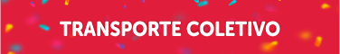Clique aqui para acessar as informações sobre o Transporte Coletivo para o Carnaval 2023