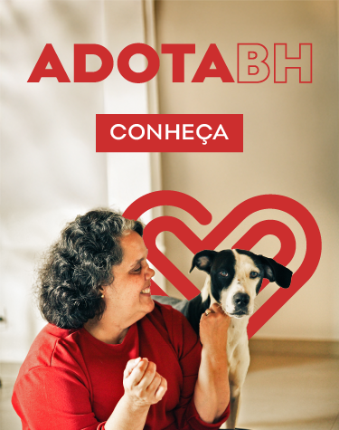Mulher branca, de cabelos grisalhos e blusa vermelha, segura cão branco com manchas pretas