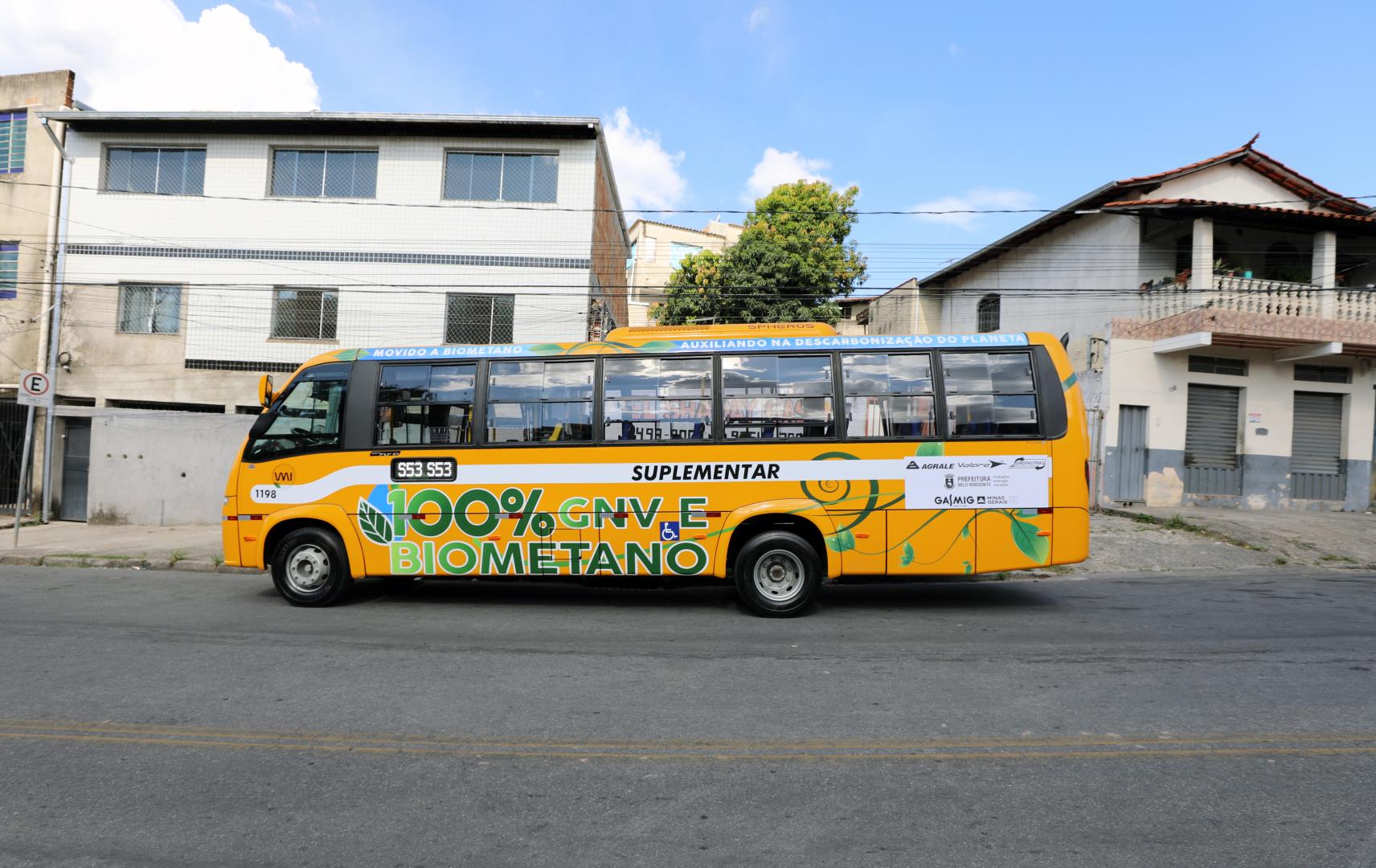 Novos ônibus