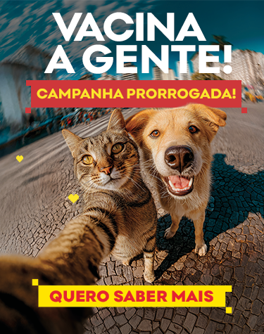 Gato e Cachorro fazem selfie juntos