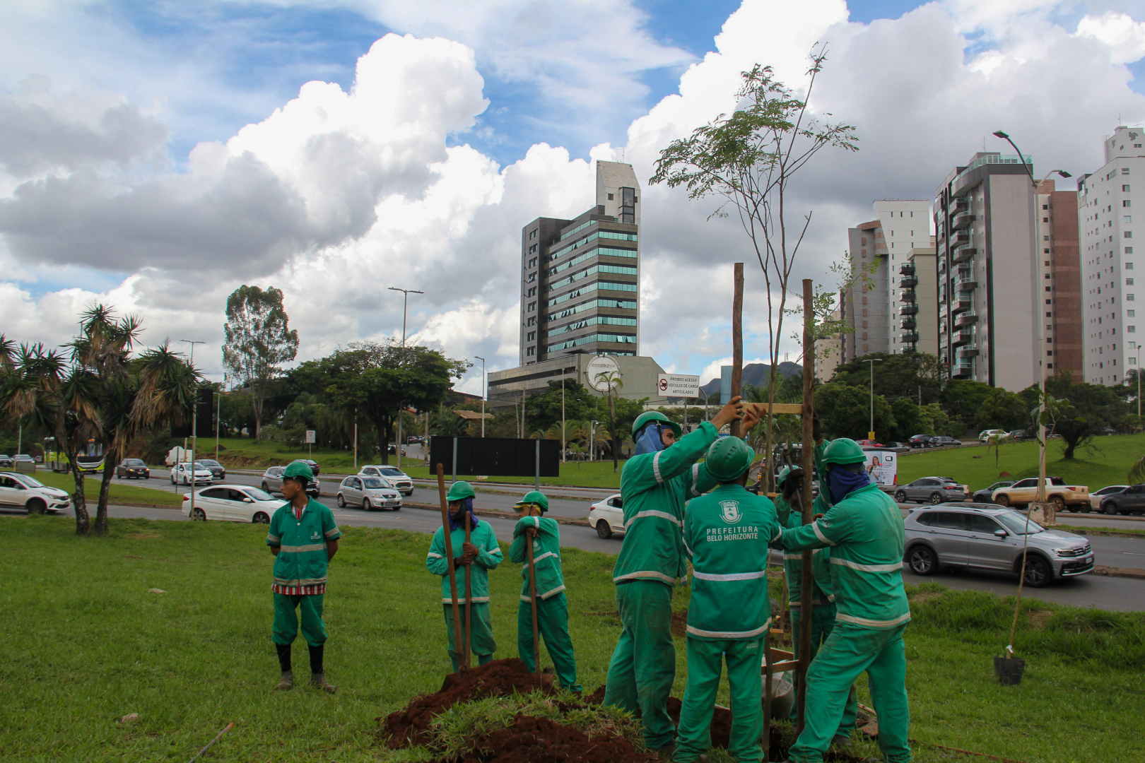 Plantio de mudas é realizado nesta quinta-feira (12) na região do Belvedere