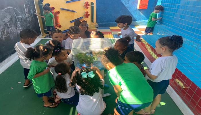 #paratodosverem Descrição: fotografia colorida de crianças observando o borboletário feito em um aquário de vidro e contendo plantas, além de lagartas, borboletas e casulos. Foto por: Rosilene Barros.