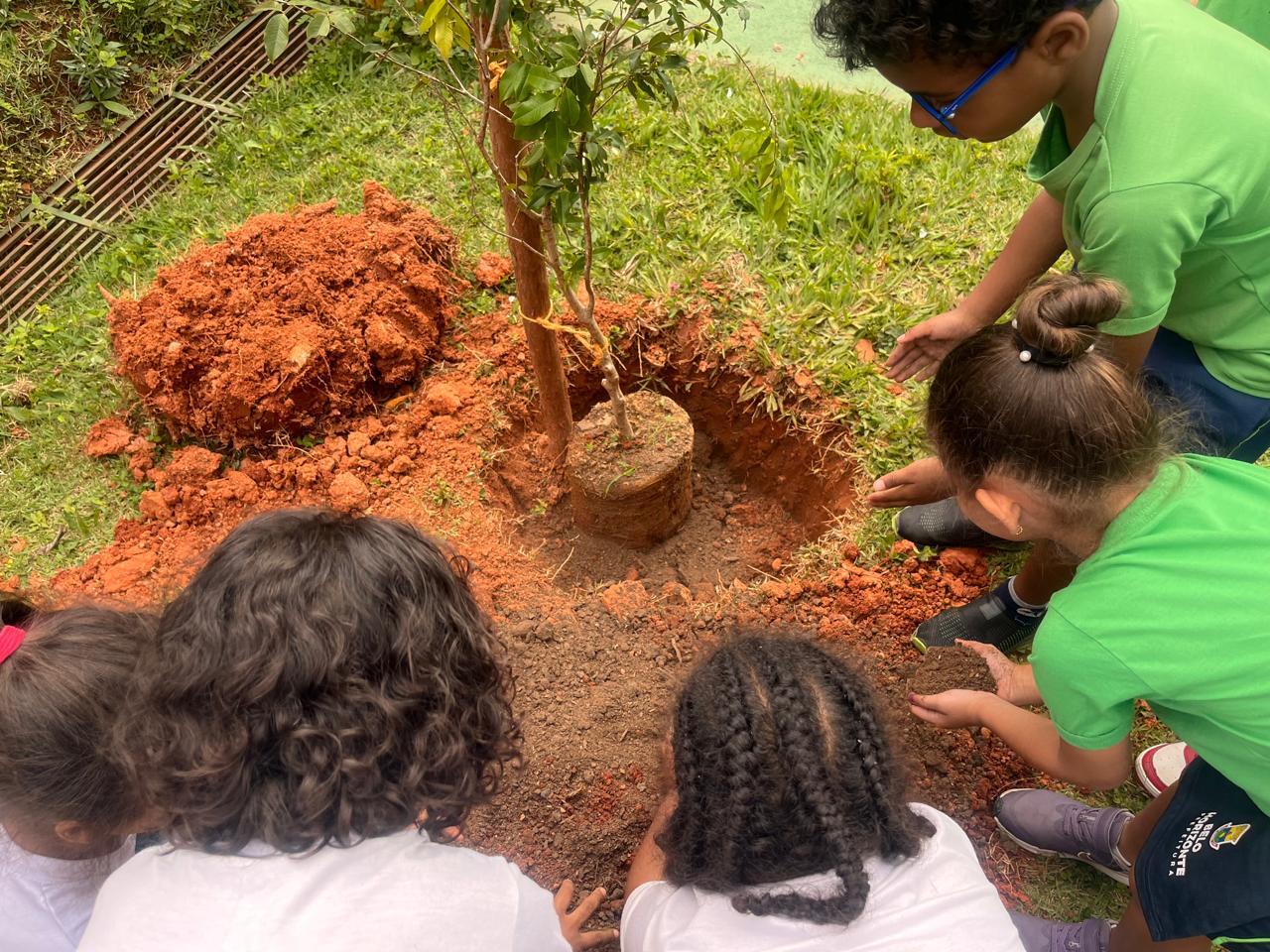 Programa Escola Verde mobiliza 830 estudantes da rede municipal em atividades de educação ambiental neste mês uma muda de árvore é plantada por alunos de uma escola de educação infantil. As crianças estão de costas, agachadas em roda, com camisetas brancas e verdes.