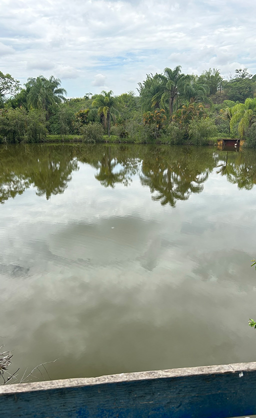 Lagoa Santa