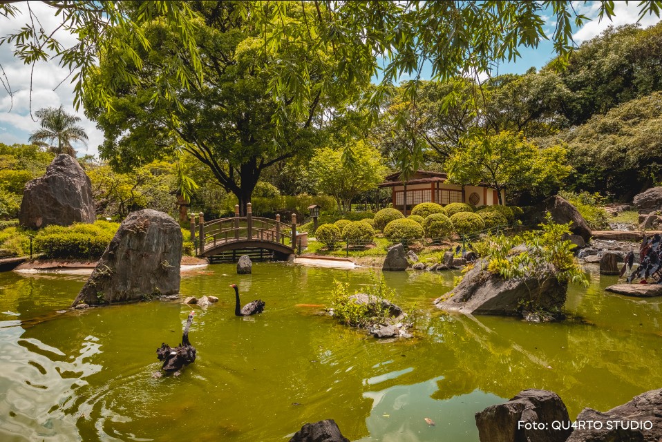 Jardim Japones