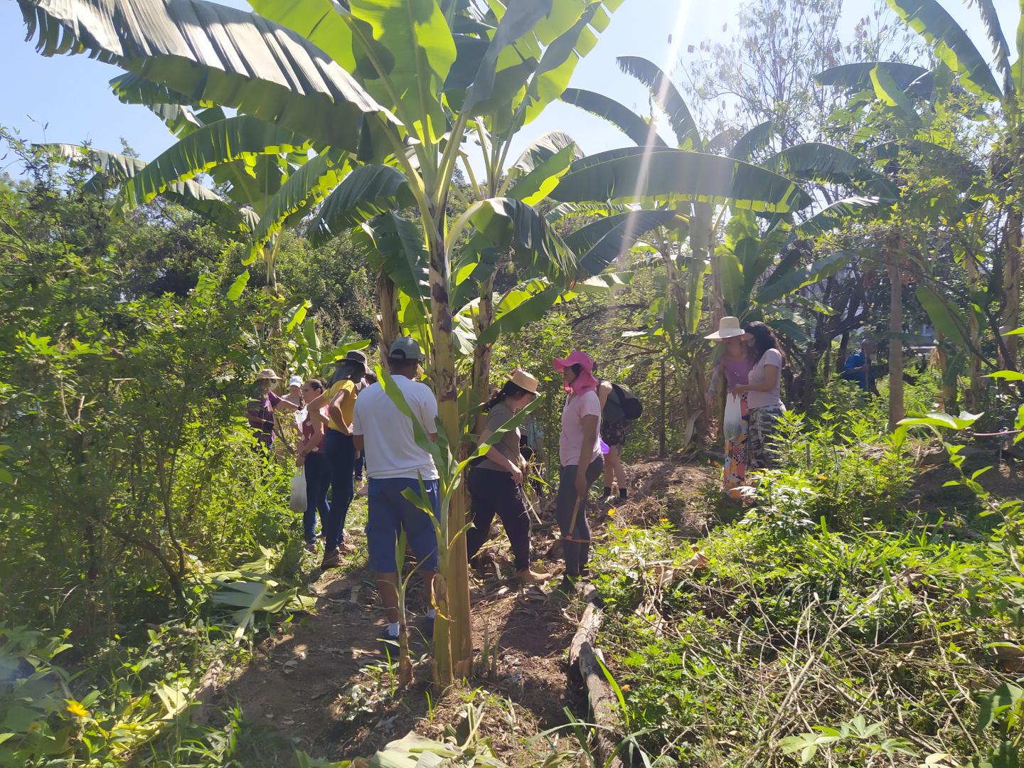 Prefeitura abre inscrições para o curso de agroecologia 2026 