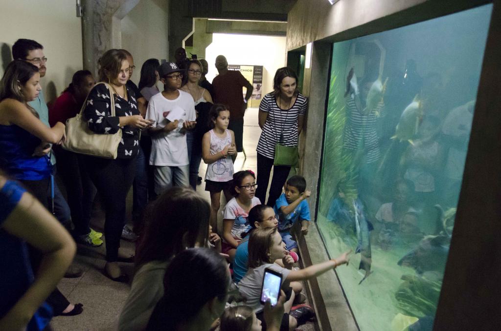 Pessoas observam peixes em aquário