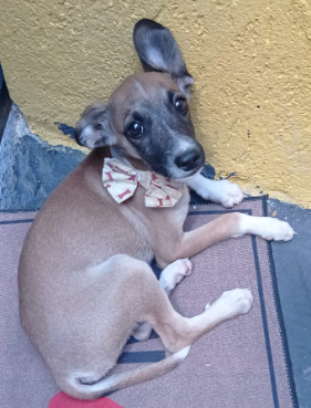 Max Max