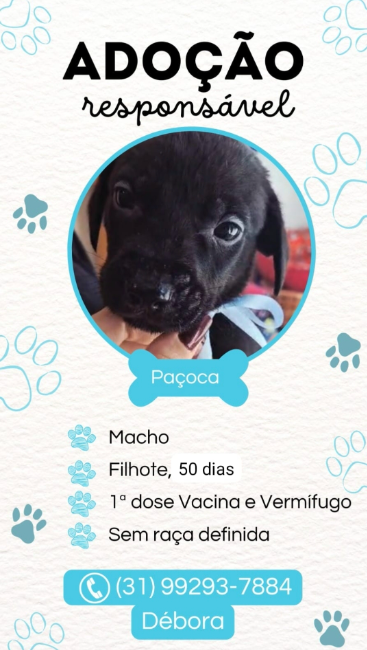 PAÇOCA PAÇOCA