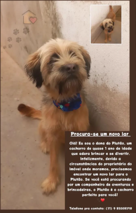 Plutão Plutão