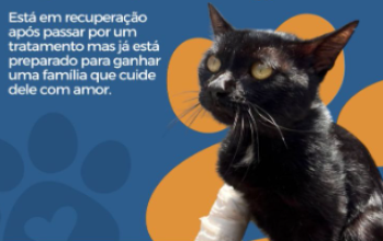 Pretinho Pretinho