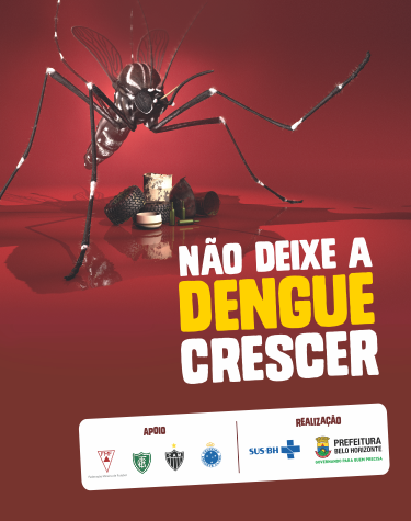 Imagem traz o desenho de um mosquito da dengue, entulhos e a frase Não deixe a dengue crescer