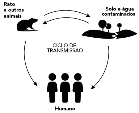 Quando suspeitar do diagnóstico de hanseníase na prática clínica