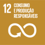 12 - Consumo e Produção Responsáveis.png