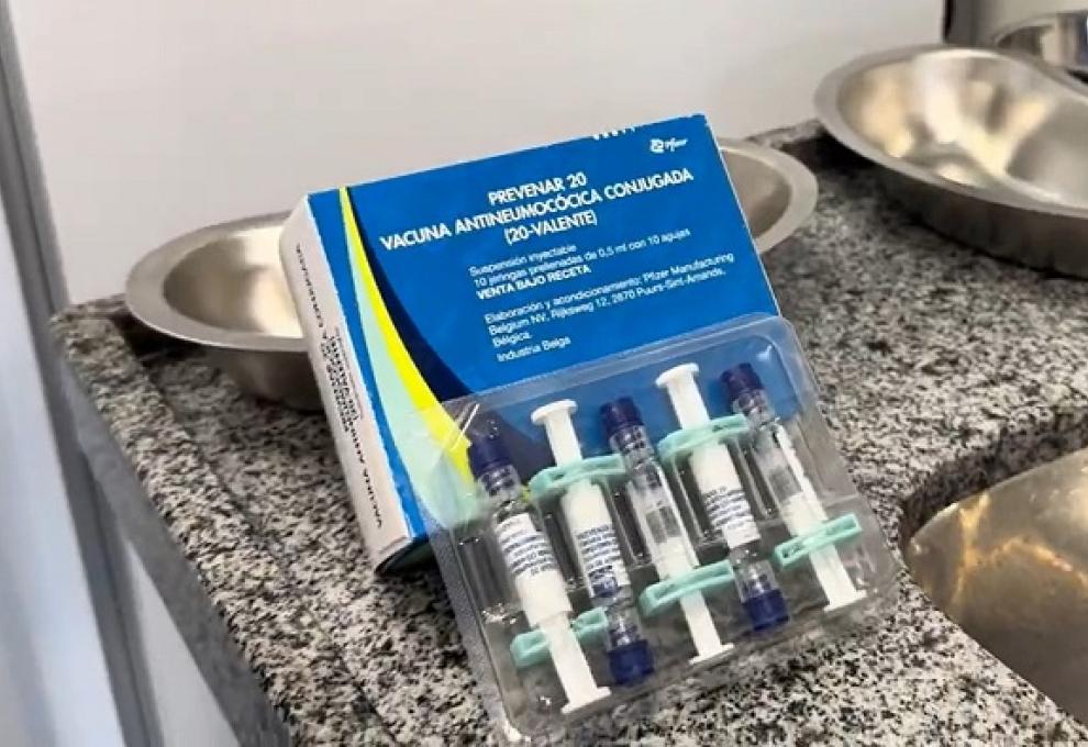 PBH começa nesta terça-feira (29) a imunizar idosos a partir de 85 anos com a vacina Pneumo A imagem mostra uma caixa com doses da vacina Pneumo 20, em uma bancada de granito.