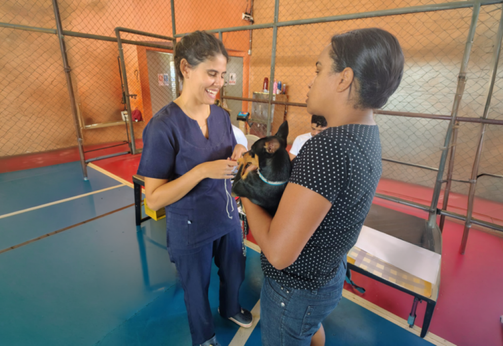 Mulher segura cachorro preto no colo, enquanto veterinária aplica vacina na pata do animal Mulher segura cachorro preto no colo, enquanto veterinária aplica vacina na pata do animal