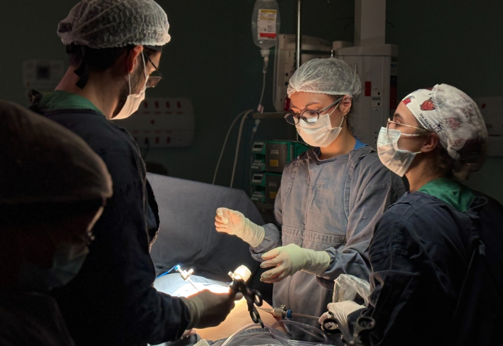 A foto mostra equipe médica composta por quatro profissionais realizando uma cirurgia em um paciente.