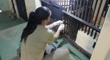 Animais do Zoo de BH recebem cuidados especiais para garantir saúde e bem-estar