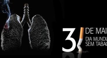 A imagem contém um pulmão sendo queimado por um cigarro e está escrito: 31 de maio Dia Mundial Sem tabaco, sendo que o número 1 é um cigarro apagado.