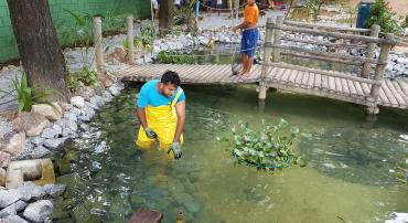 Servidor realiza manutenção no laguinho da escola Francisco Magalhães Gomes. Atrás dele, em cima da ponte, um aluno observa.