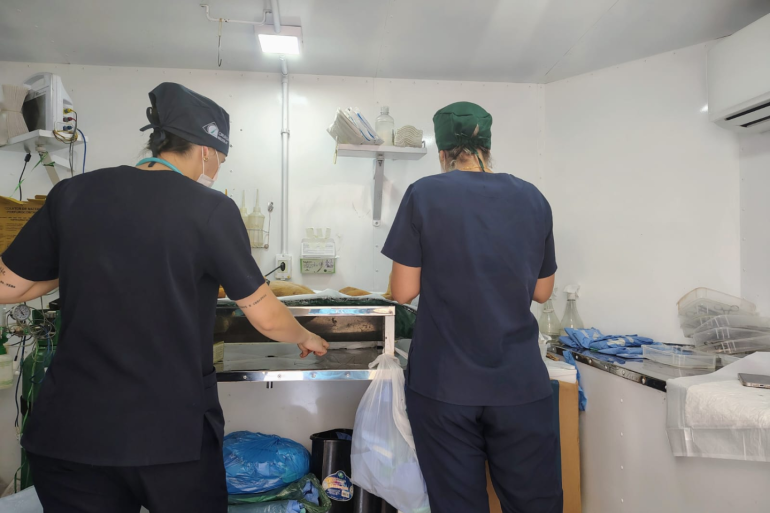 Em uma sala de cirurgia, duas mulheres com pijamas cirúrgicos azuis, de costas para a foto, realizam um procedimento em um animal 