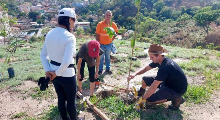  Prefeitura de BH planta 200 árvores nativas no Parque Goiânia