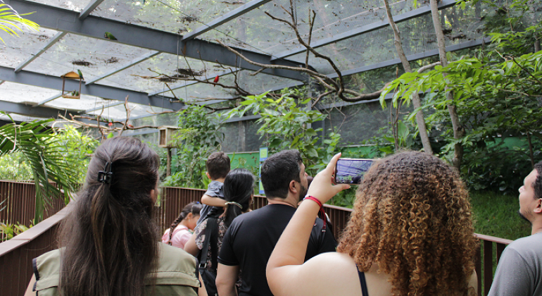 Zoológico oferece visitas guiadas ao Recinto de Imersão de Aves