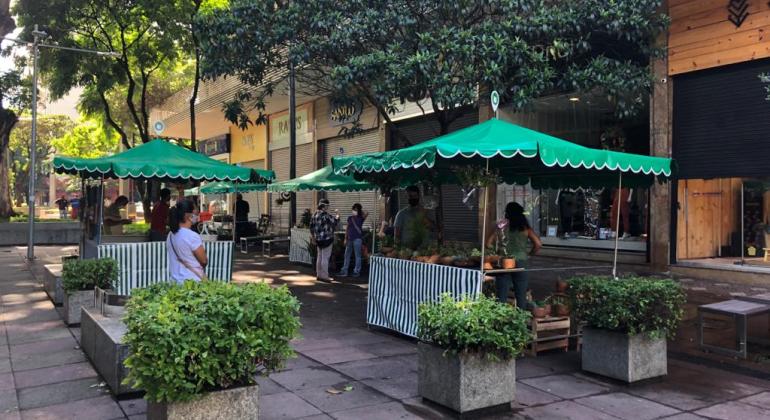 Feira de Plantas e Flores da Savassi triplica número de expositores