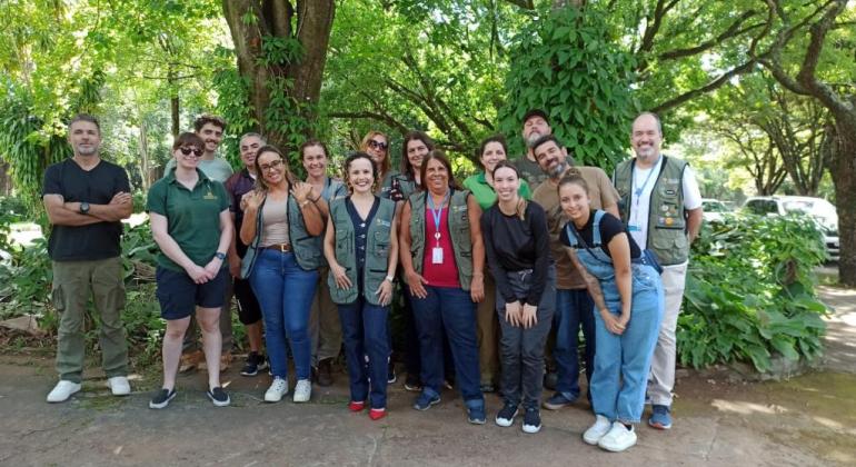 Técnicos de São Paulo e cuidadora de gorilas da Inglaterra visitam Zoo de BH