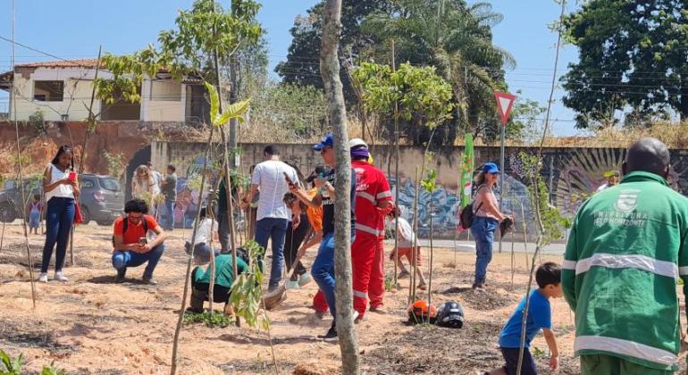 Servidores municipais e voluntários durante ação de plantio de árvores, na Pampulha.