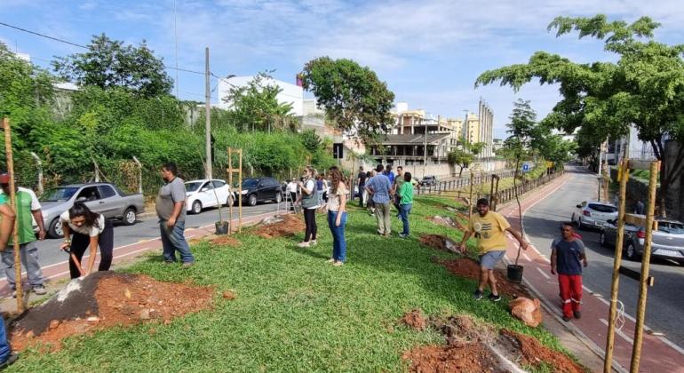 Plantio de árvores marca início do Corredor Verde no bairro Liberdade 