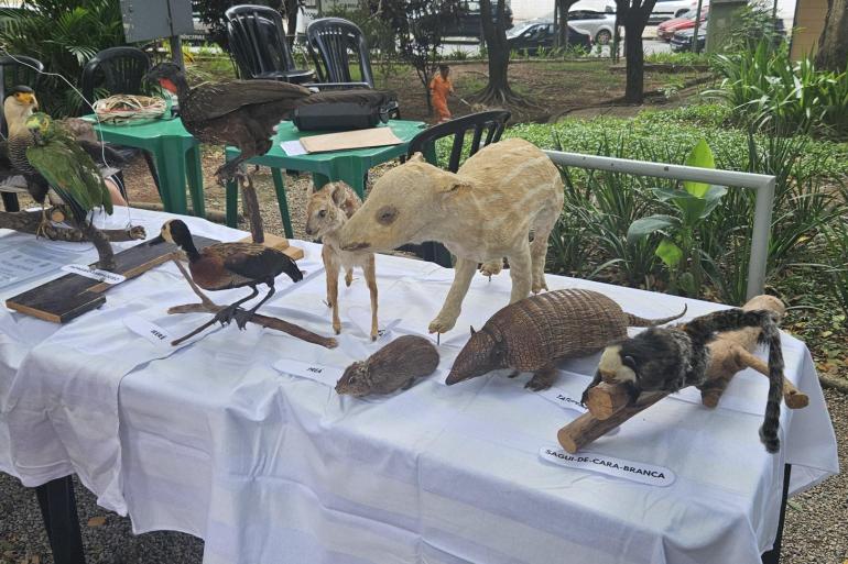 Parque no Bairro Betânia promove atividades de lazer e exposição neste fim de semana