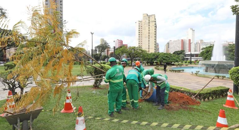 Prefeitura concluiu o plantio dos flamboyants da Praça Raul Soares