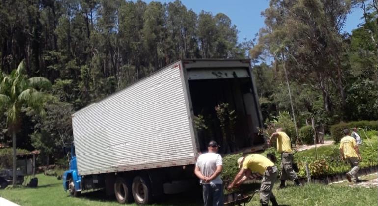 Belo Horizonte recebe mais 3 mil mudas de espécies nativas de Mata Atlântica