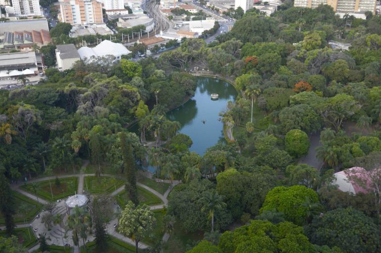 BH é reconhecida como "Cidade Árvore do Mundo" pela terceira vez consecutiva