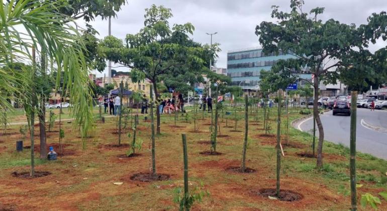 PBH investe em miniflorestas para fortalecer o ecossistema em espaço urbano PBH investe em miniflorestas para fortalecer o ecossistema em espaço urbano