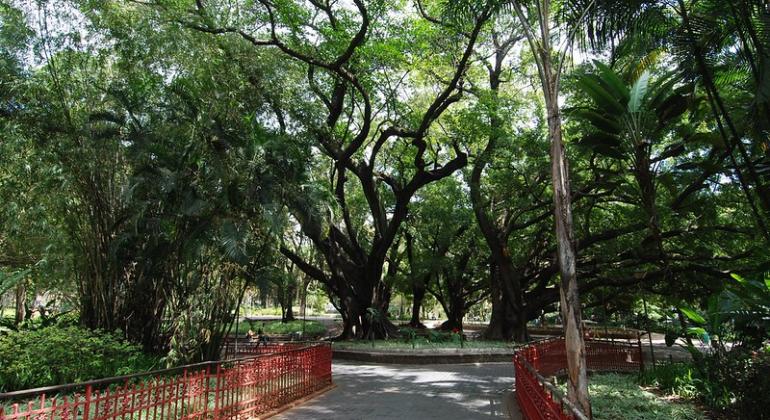 Belo Horizonte mobiliza Conferência Municipal contra a Emergência Climática