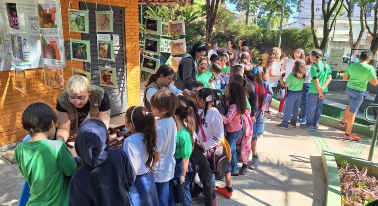 Alunos de escola municipal criam árvore dos sonhos em prol do meio ambiente