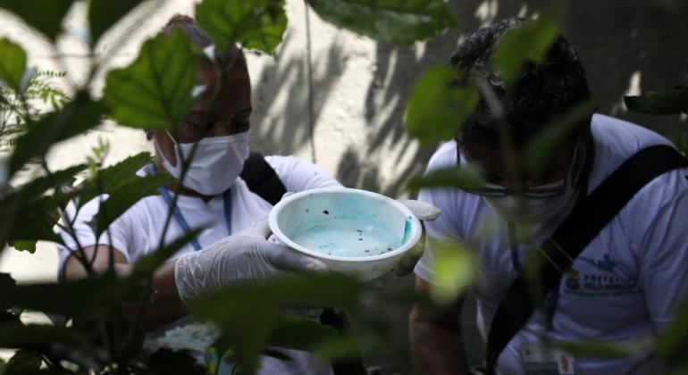 Após ação da PBH, Justiça determina limpeza de lotes com foco de Aedes aegypti Após ação da PBH, Justiça determina limpeza de lotes com foco de Aedes aegyptiApós ação da PBH, Justiça determina limpeza de lotes com foco de Aedes aegypti
