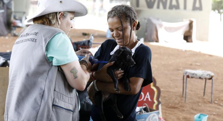 Animais tutelados por pessoas em situação de rua recebem cuidados veterinários da PBH 