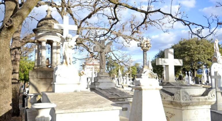 Guias, transferência e compra de jazigos nos cemitérios públicos de BH já podem 