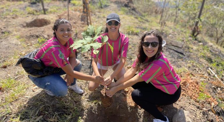 Em parceria com o projeto Montes Verdes, quadrilhas do Arraial de Belo Horizonte plantam 60 novas árvores na Serra do Engenho Nogueira Quadrilhas do Arraial de BH plantando