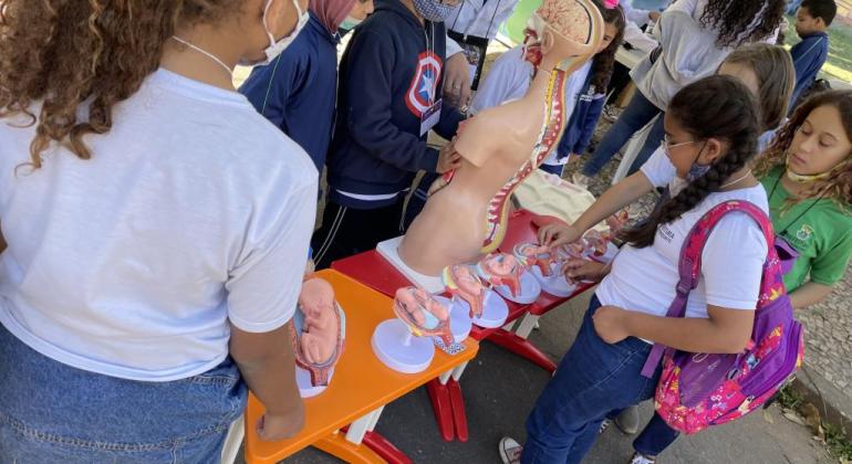 Prefeitura de Belo Horizonte comemora a Semana da Infância com atividades na rede municipal Crianças aprendendo sobre o corpo humano