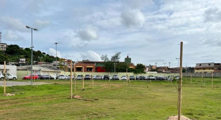 Áreas verdes da UPA Norte têm paisagismo e revegetação concluídos Áreas verdes da UPA Norte têm paisagismo e revegetação concluídos